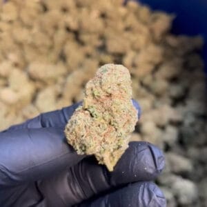 amnesia haze CBD medium bud