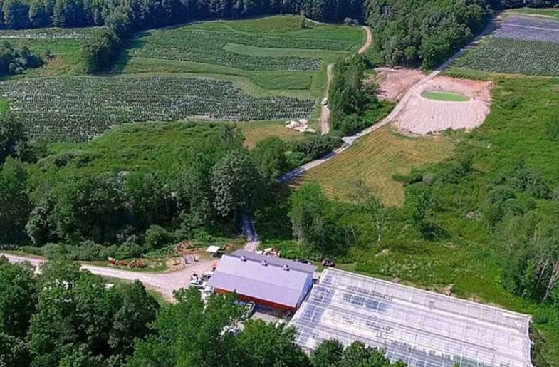 Home LeCBDMarseillais 10 Ferme vue de haut