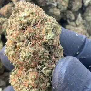 Mango CBD big bud