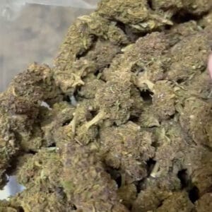 Purple queen CBD small bud lot