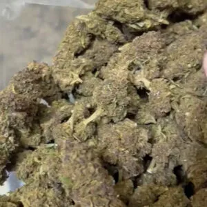 Purple queen CBD small bud lot