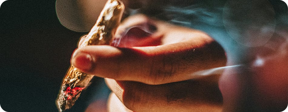 Amnesia Haze - Big Buds - Fleurs CBD 12 Joint de CBD à partager