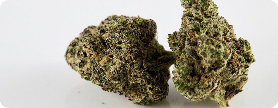 Jolies têtes de CBD sur plateau