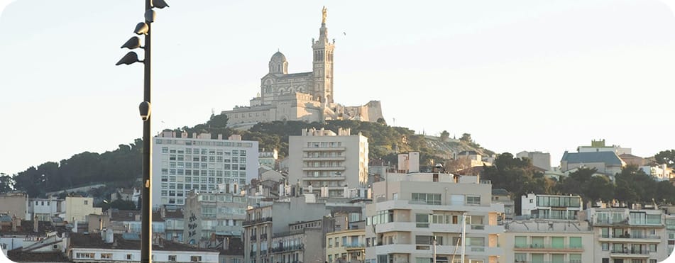 Amnesia Haze - Big Buds - Fleurs CBD 11 Vue de Marseille lointain