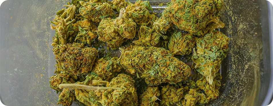 Panier de fleurs de CBD