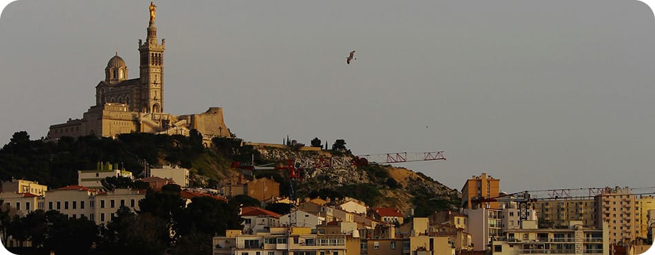 Mango Haze - Small Buds - Fleurs CBD 12 Vue de haut de Marseille