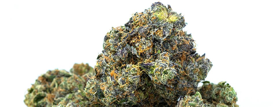 zoom fleur CBD qualité