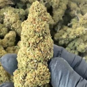 Sour space candy CBD big bud zoomé