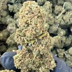 Sour space candy CBD big bud producteur