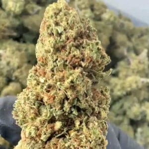 Sour space candy CBD big bud zoom