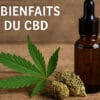 6 bienfaits du CBD - Le CBD Marseillais