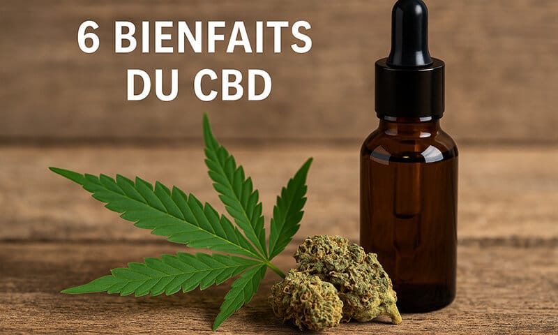 6 bienfaits du CBD - Le CBD Marseillais