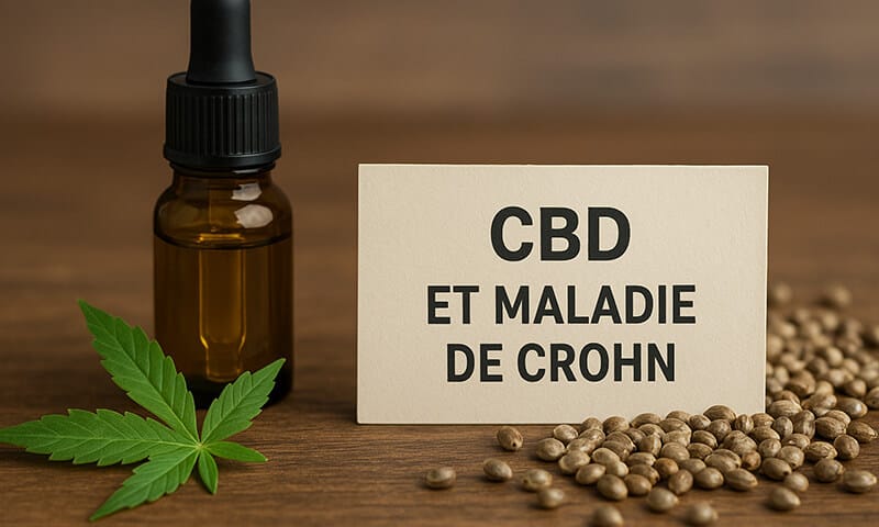 CBD et maladie de Crohn