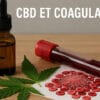 CBD et coagulation - Le CBD Marseillais