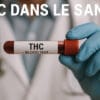 THC dans le sang - Le CBD Marseillais