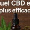 efficacité du CBD - Le CBD Marseillais