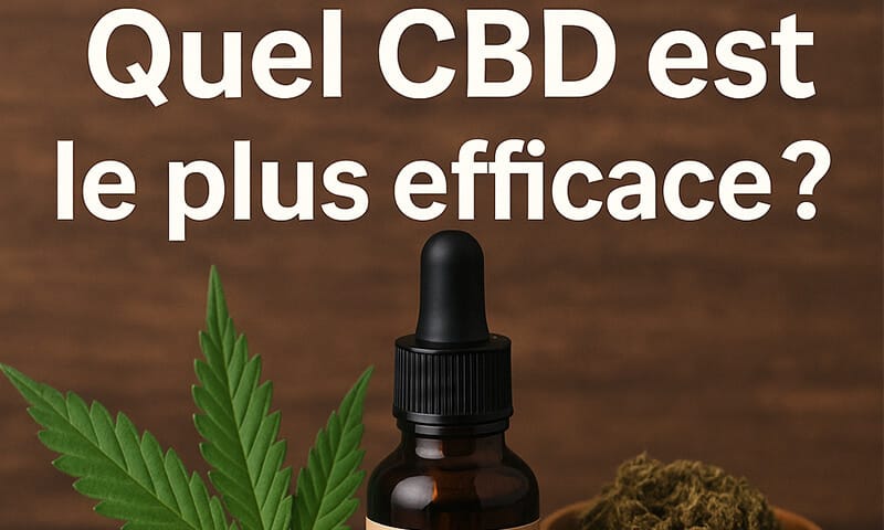 efficacité du CBD - Le CBD Marseillais