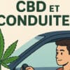 CBD et conduite - Le CBD Marseillais