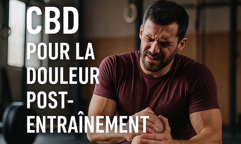 CBD et douleurs post-entraînement - le CBD Marseillais