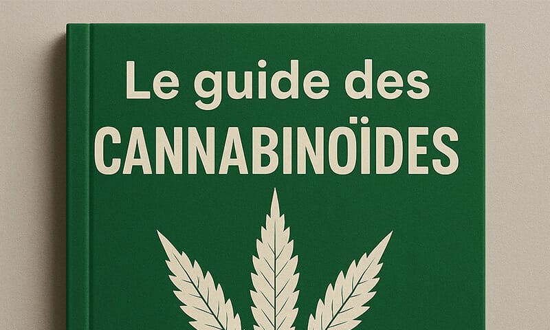 guide des canabinoïdes - Le cbd marseillais