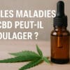quels maladies peut soulager le CBD - Le CBD Marseillais