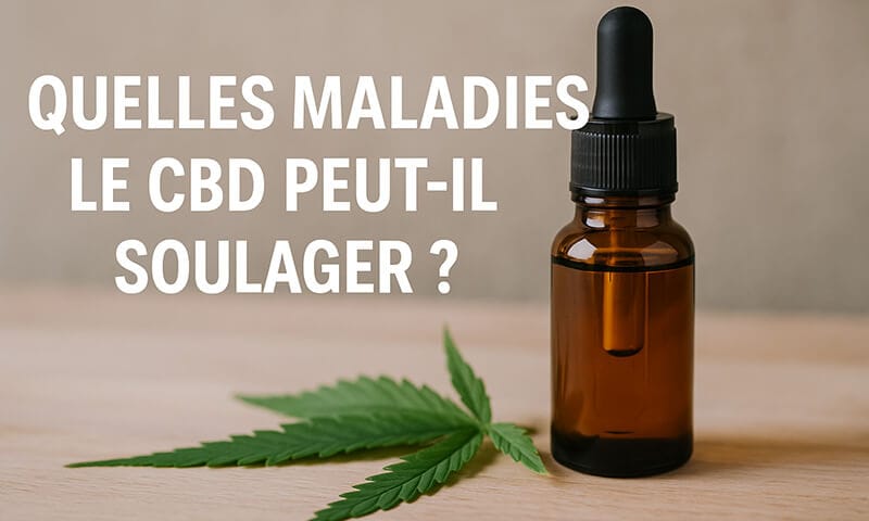 quels maladies peut soulager le CBD - Le CBD Marseillais