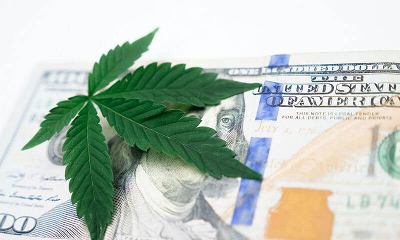 vente et CBD - Le CBD Marseillais