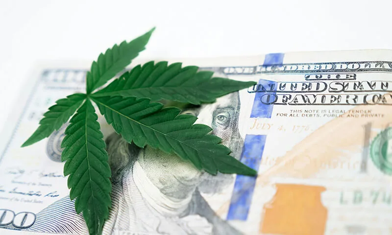 vente et CBD - Le CBD Marseillais