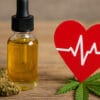 CBD et santé cardiaque - Le CBD Marseillais