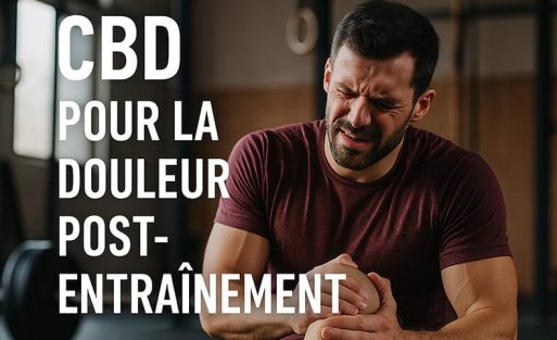 CBD et douleurs post-entraînement - le CBD Marseillais