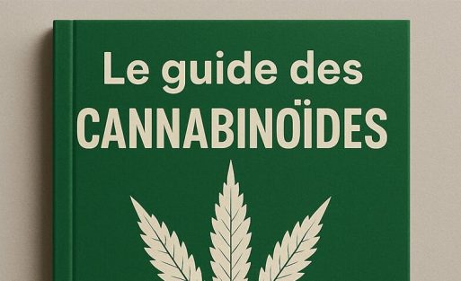 guide des canabinoïdes - Le cbd marseillais