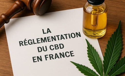 la réglementation du CBD en France - Le CBD Marseillais